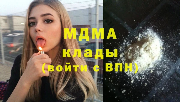 молекула духа Вяземский